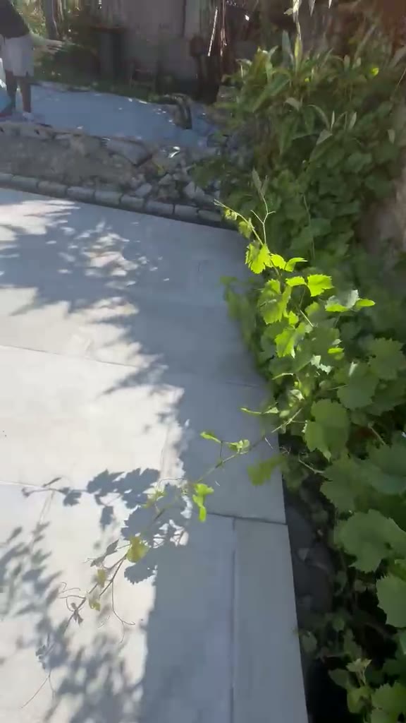 Grey slab path with sett edging running alongside a planted border in Gloucester